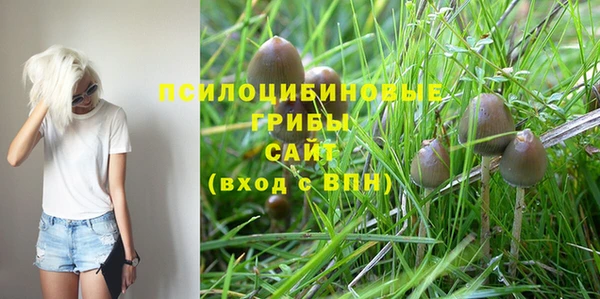 бошки Ростов