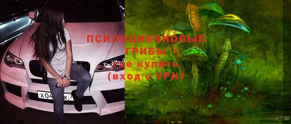 гашик Рославль
