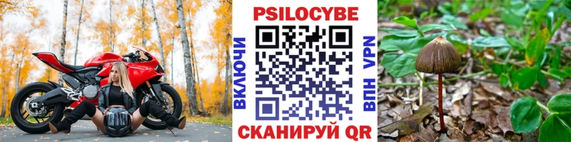 Псилоцибиновые грибы GOLDEN TEACHER  Долгопрудный 
